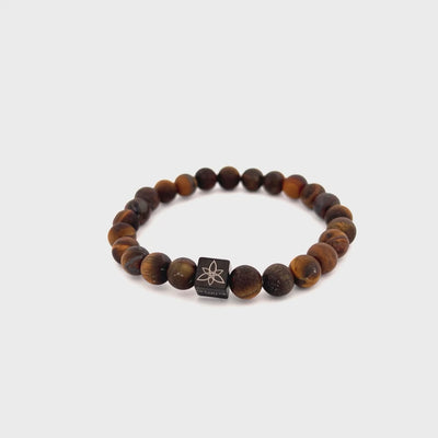 Brown tiger eye bracelet [8 mm]