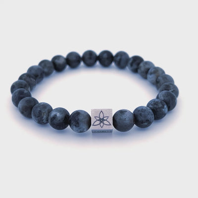Black Labradorite bracelet [8 mm]